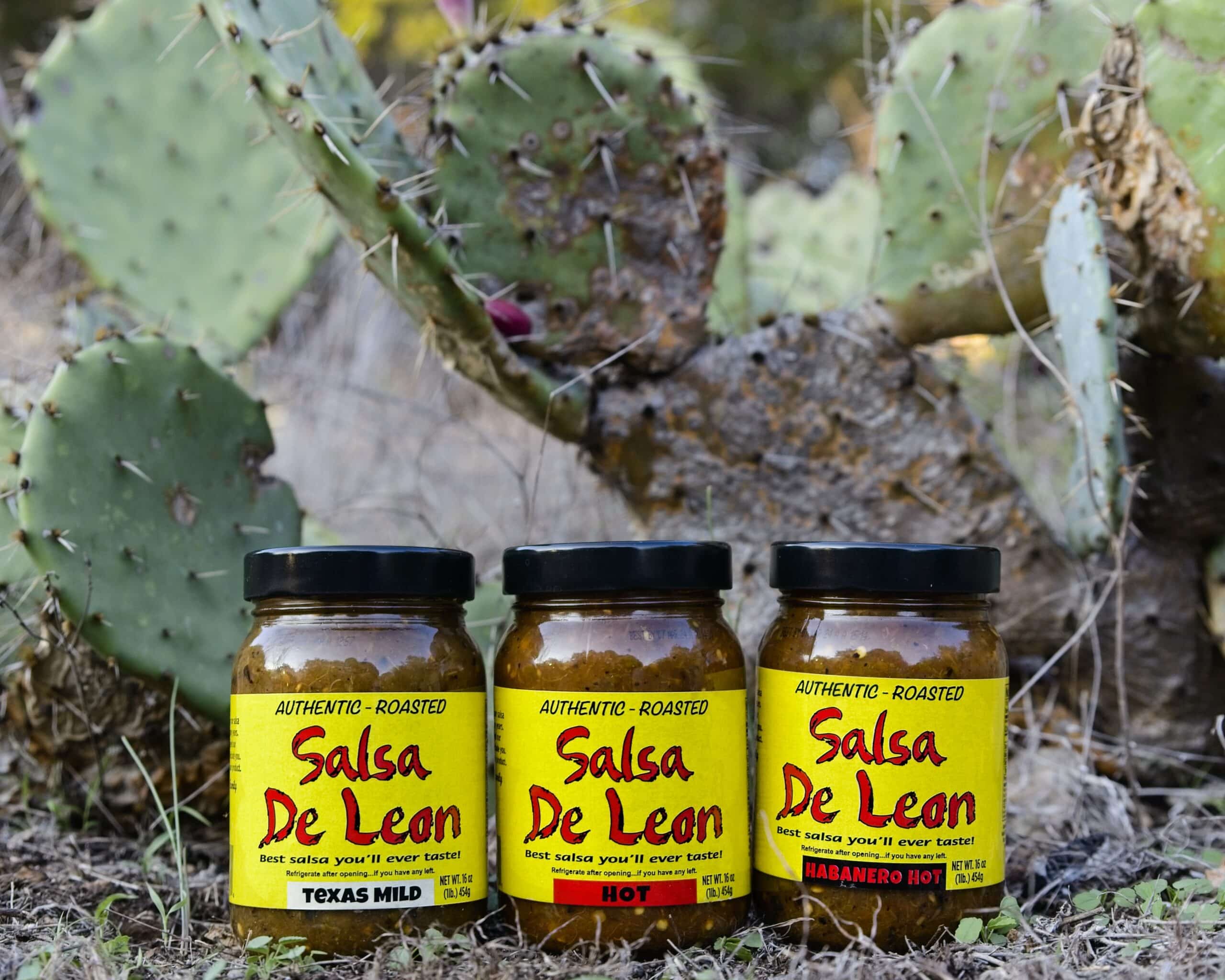Salsa De Leon: The Best Salsa You’ll Ever Taste!